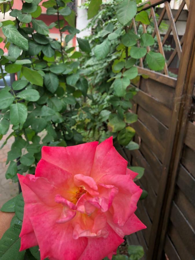 Apartamento La Porta Nel Giardino Asti Exterior foto